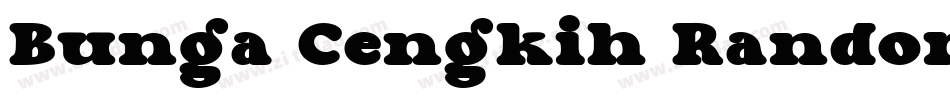 Bunga Cengkih Random字体转换